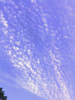 うろこ雲