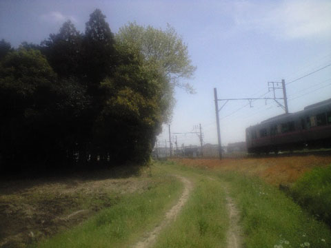 電車道