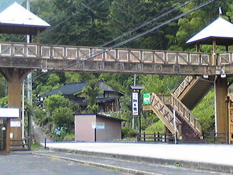 サマーキャンプ