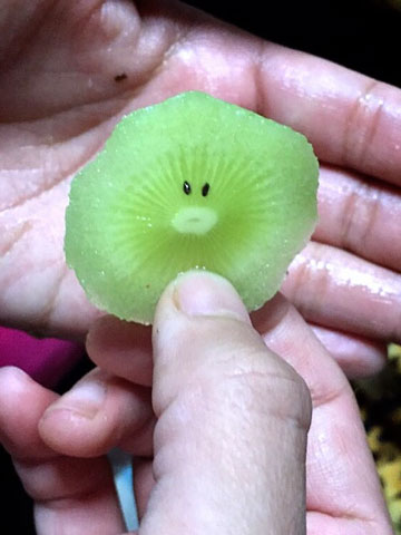 かわいいお顔