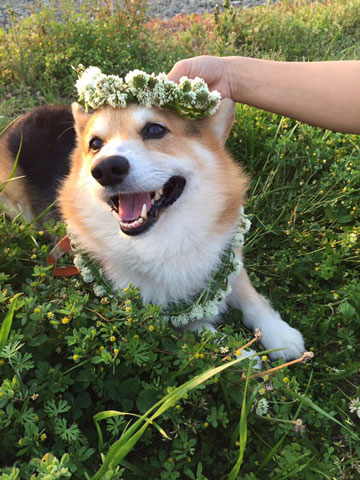 お花の首飾り