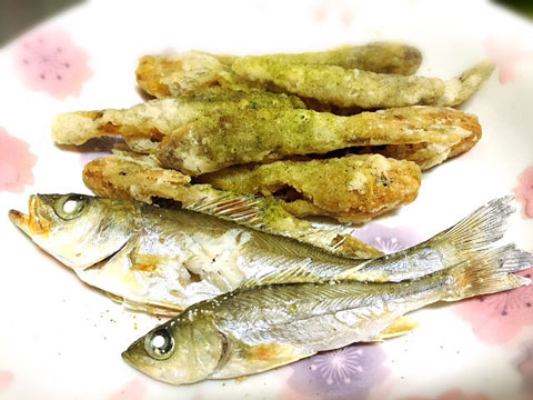 釣った魚