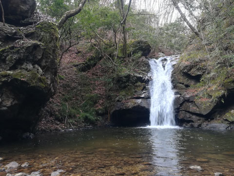 山奥の滝