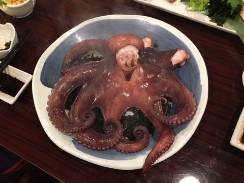 茹で蛸