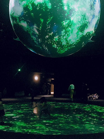 海の生物