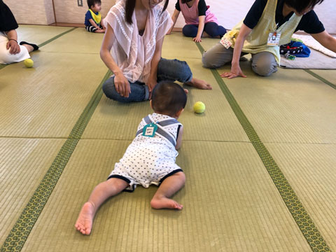 テニスボールレッスン