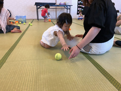 テニスボールレッスン