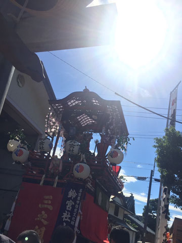 秋桜