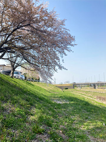 Uۂ̍