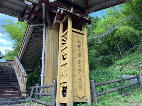 スキップサマーキャンプ
