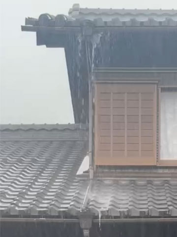䕗̋