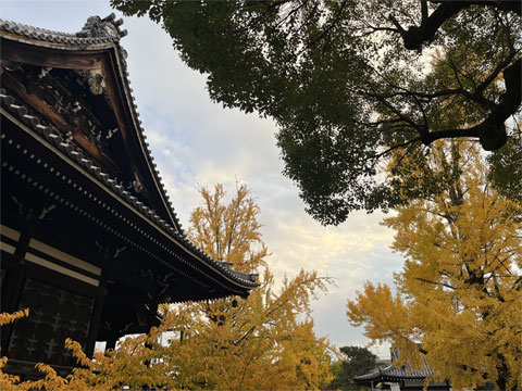 京都の紅葉