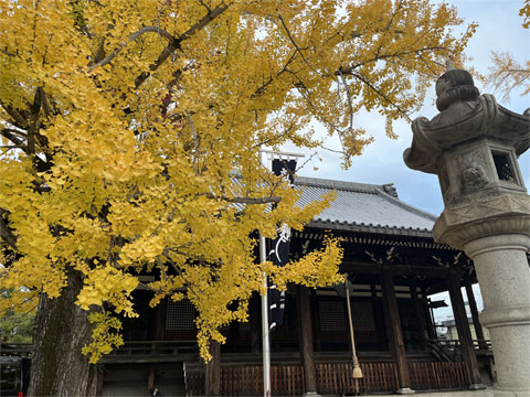 京都の紅葉