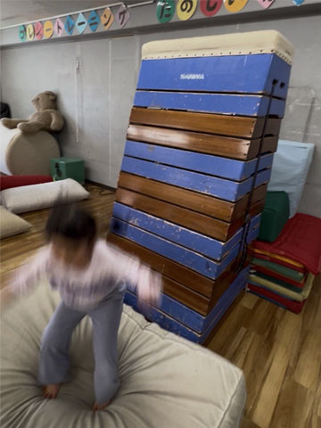 �X�L�b�v�v���W���[�A���[�i