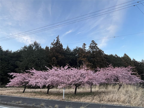 ���͒�����