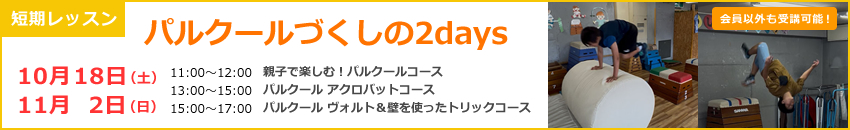 XLbv̒ZbXIpN[Â2days