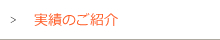 実績
