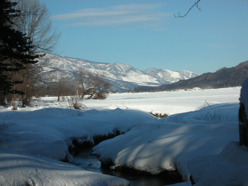 EB^[Lv2008 in nigCpcA[j