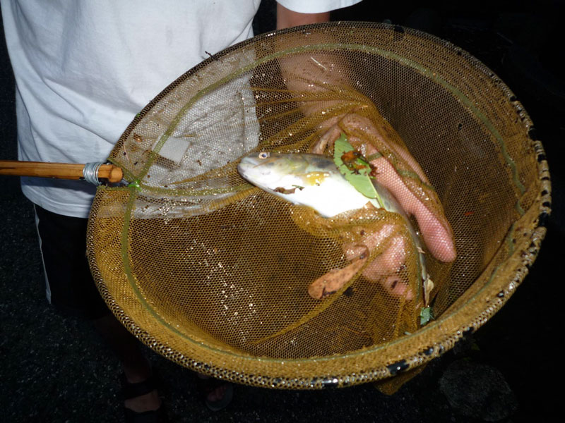 スキップサマーキャンプ2009(1泊2日)