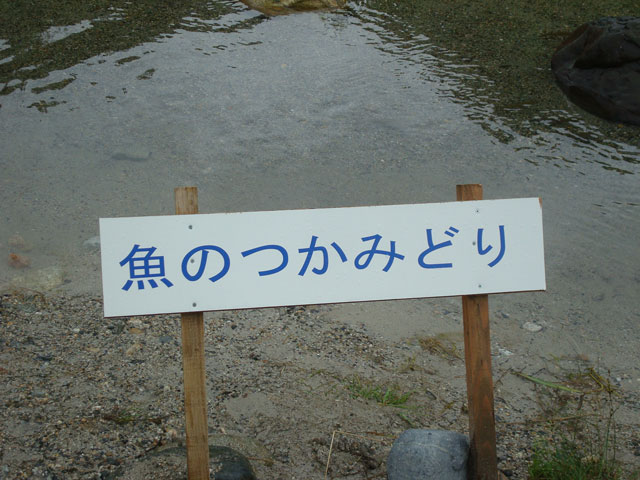 キャンプ引率(トライパルツアー)