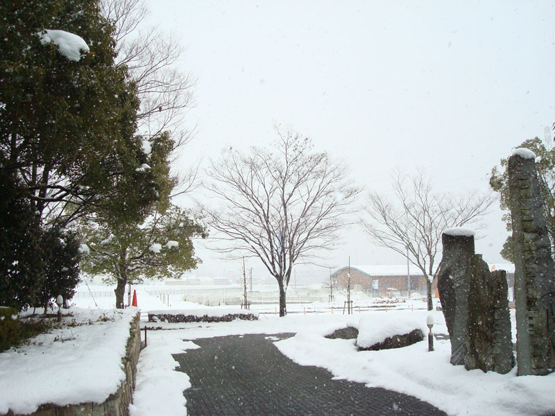 未就園児親子体操教室（山県市子育てサークル）